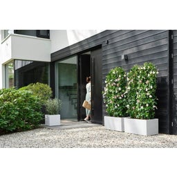 elho vivo next Square Planter - 40cm - white