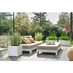 elho vivo next Square Planter - 40cm - white