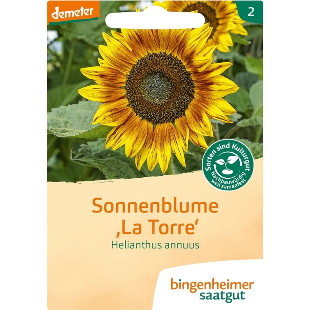 Bingenheimer Saatgut Sonnenblume mehrbltig, 1 Packung - Bloomling  Deutschland
