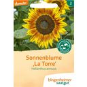 Bingenheimer Saatgut Sonnenblume mehrblütig - 1 Pkg