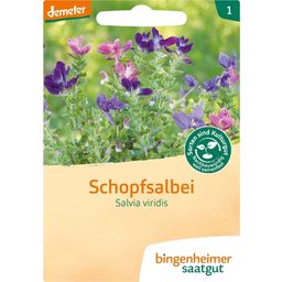 Bingenheimer Saatgut Salvia Verde - 1 conf.