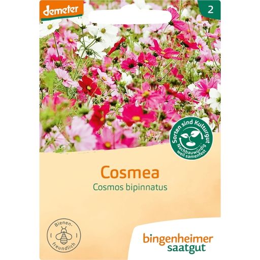 Bingenheimer Saatgut Cosmea - 1 conf.