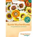 Bingenheimer Saatgut Bunte Wucherblume - 1 Pkg