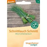 Bingenheimer Saatgut Schnittlauch "Schmitt"