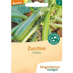 Bingenheimer Saatgut Zucchini "Zuboda"