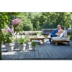 elho Donica okrągła vibia straight 30 cm - living concrete