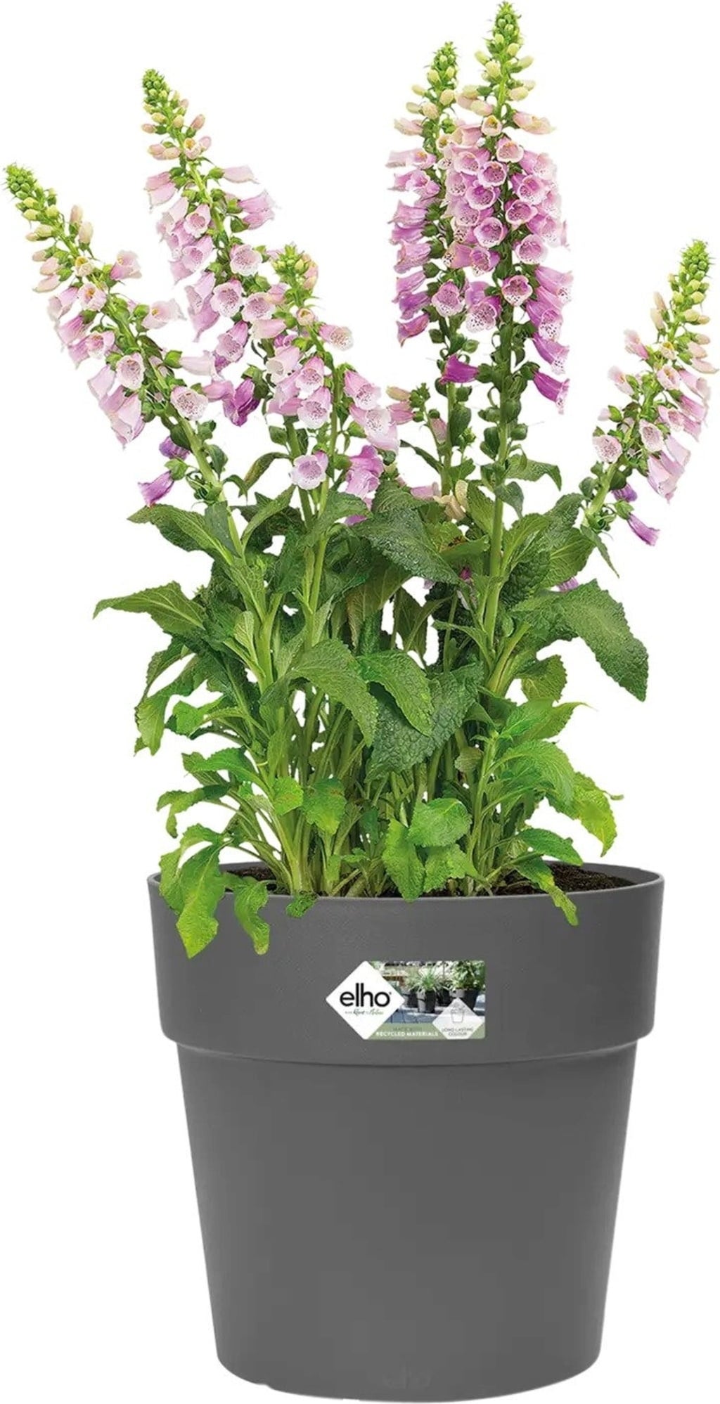 elho Pot VIBIA Straight Rond - 40 cm - Anthracite