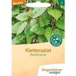 Bingenheimer Saatgut Malabar Spinach  - 1 Pkg