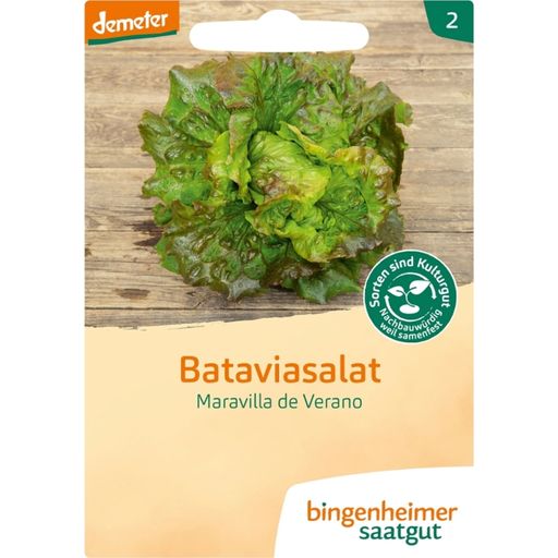 Bingenheimer Saatgut Salade Batavia 