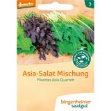 "Pikáns ázsiai kvartett" ázsiai salátakeverék