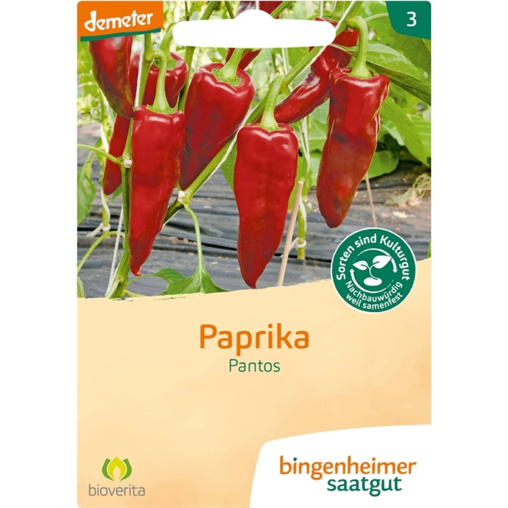 Paprika Blatter Verkruppelt 1