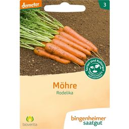 Bingenheimer Saatgut Möhren, spät "Rodelika"
