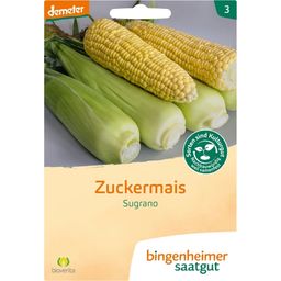 Bingenheimer Saatgut Zuckermais "Sugrano"