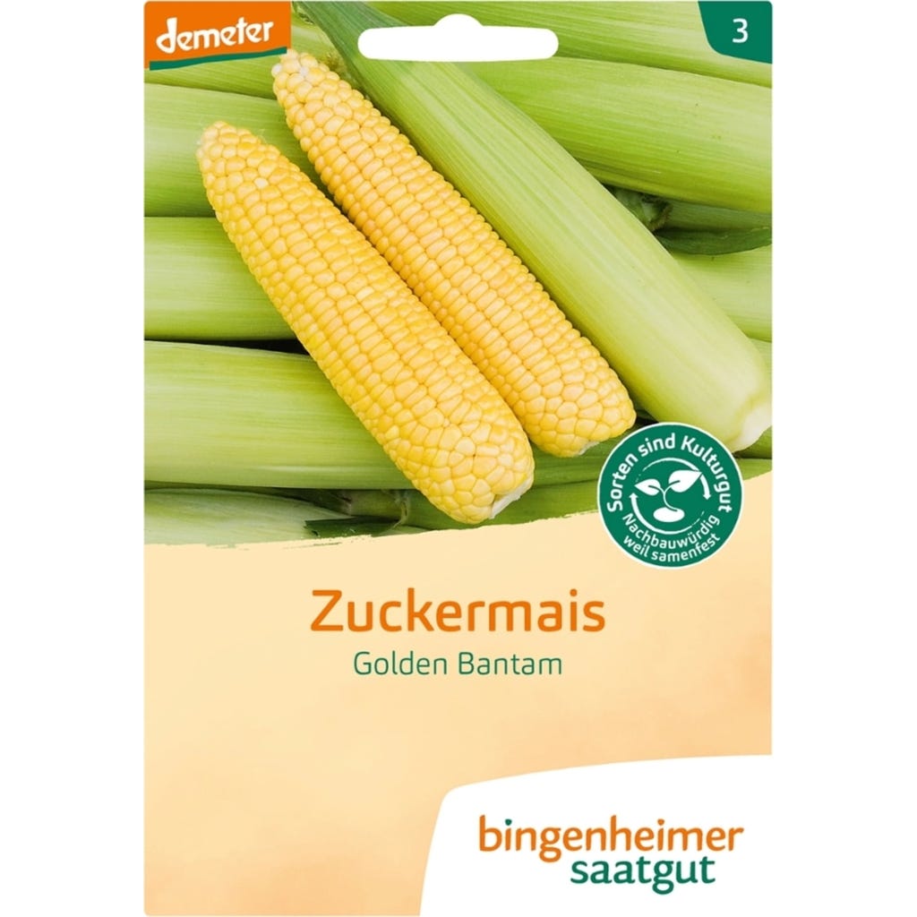 Bingenheimer Saatgut Zuckermais "Golden Bantam", 1 Packung - Bloomling  Deutschland
