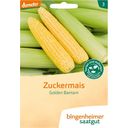 Bingenheimer Saatgut Suikermaïs “Golden Bantam” - 1 Verpakking