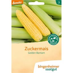 Bingenheimer Saatgut Suikermaïs “Golden Bantam” - 1 Verpakking