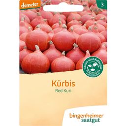 Bingenheimer Saatgut Pompoen Hokkaido “Red Kuri” - 1 Verpakking
