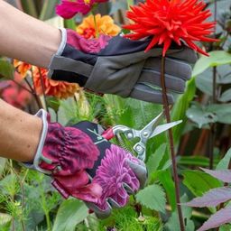Burgon & Ball British Bloom Gardening Gloves - 1 item