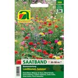 Flower Mixture "Country Summer" in a Seed Band