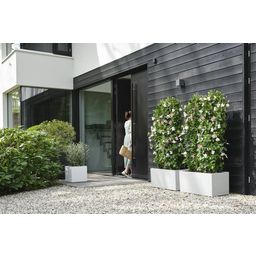 elho vivo next Long Planter - 60 cm - white