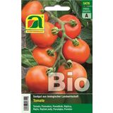 AUSTROSAAT Organic Tomatoes- "Matina"