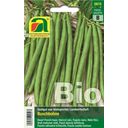 AUSTROSAAT Organic Bush Beans- 