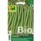 AUSTROSAAT Organic Bush Beans- "Maxi"
