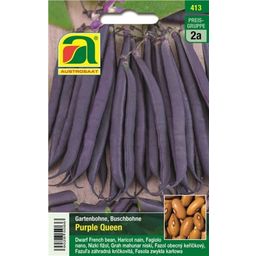 AUSTROSAAT Bush Beans- "Purple Queen"