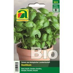 Organic Basil- 