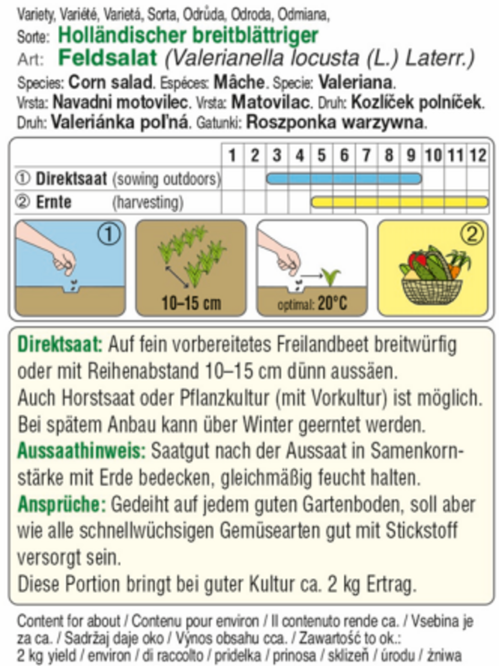Feldsalat 