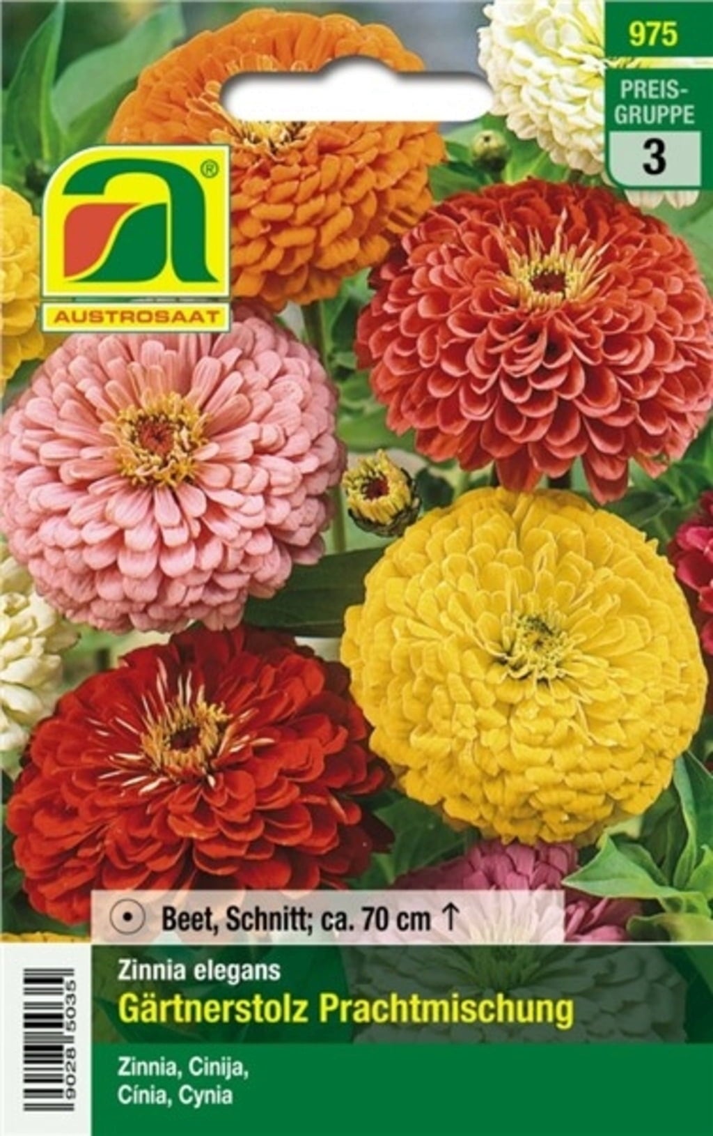 Mélange de Zinnias 