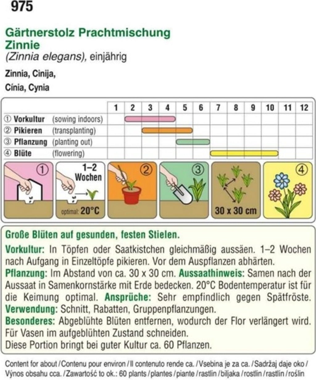 Mélange de Zinnias 