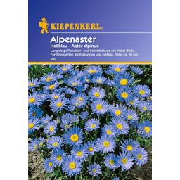 Kiepenkerl Aster des Alpes Bleu Clair - 1 sachet