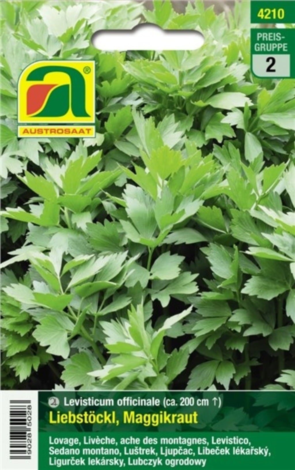 AUSTROSAAT Livèche - 1 sachet