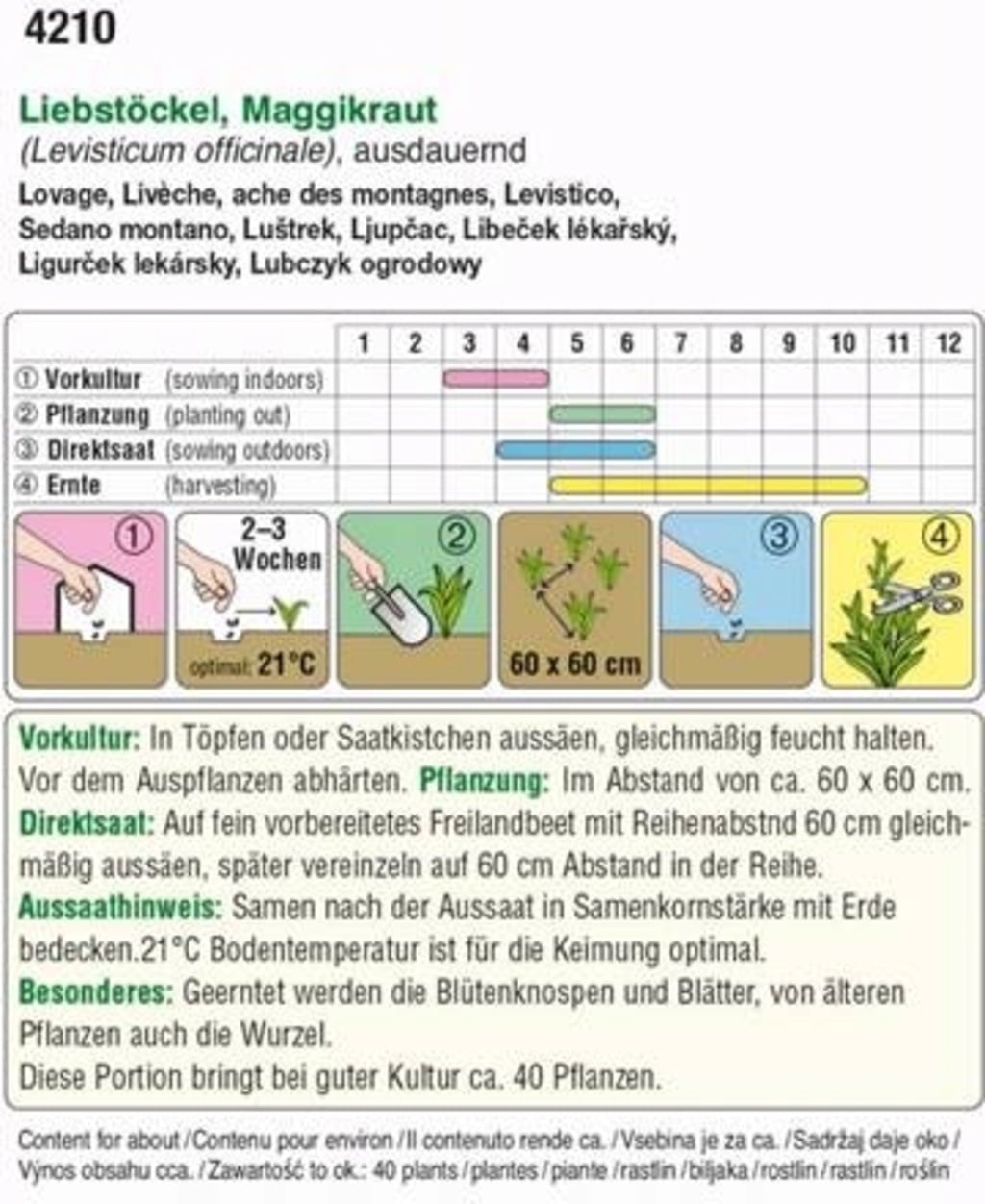 AUSTROSAAT Livèche - 1 sachet