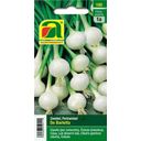 AUSTROSAAT Pearl Onions- 