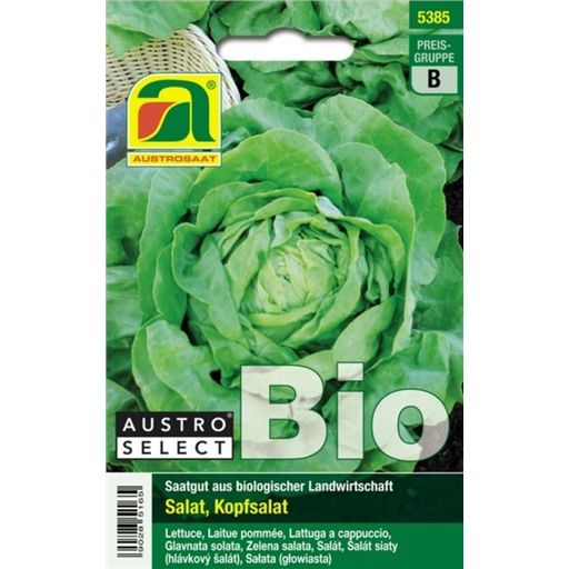 AUSTROSAAT Organic Head Lettuce- 