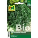 AUSTROSAAT Organic Dill - 1 Pkg