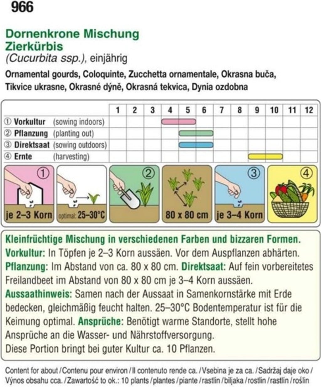 AUSTROSAAT Okrasna buča 