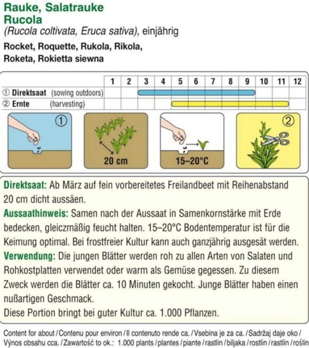 AUSTROSAAT Salad Rocket - 1 Pkg