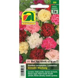 AUSTROSAAT Carnations 