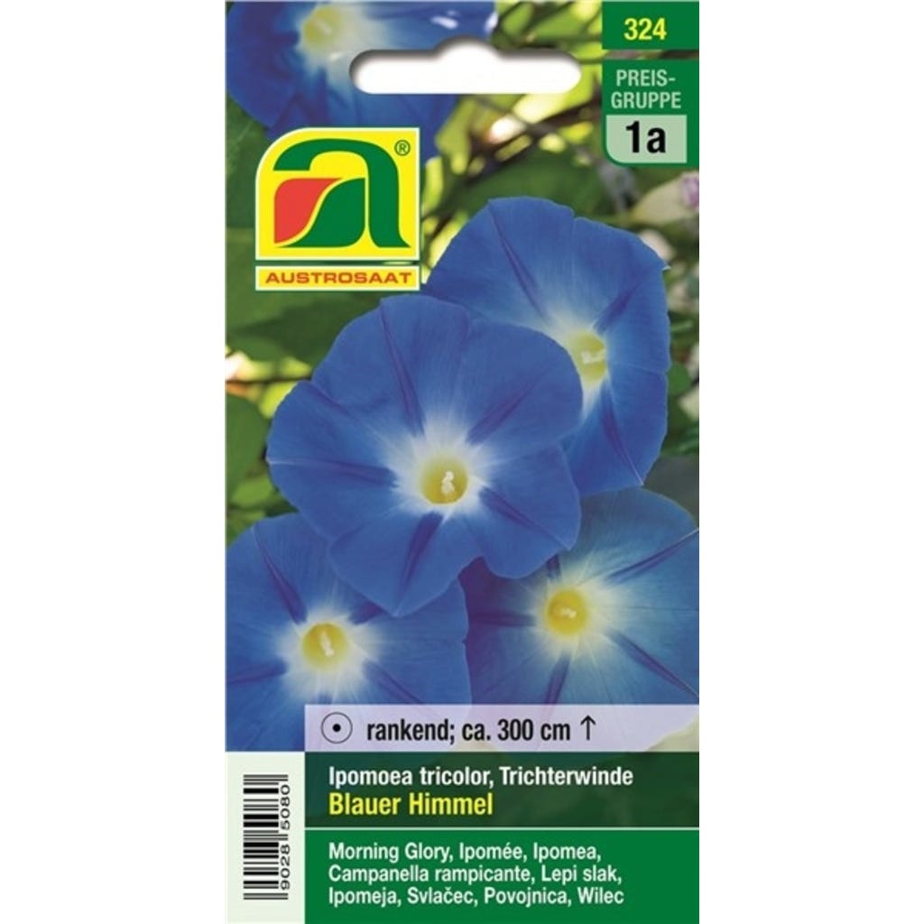 Semi Di Ipomea Blu - Pack Da 50 Semi Per Fiori Decorativi - Foto 9