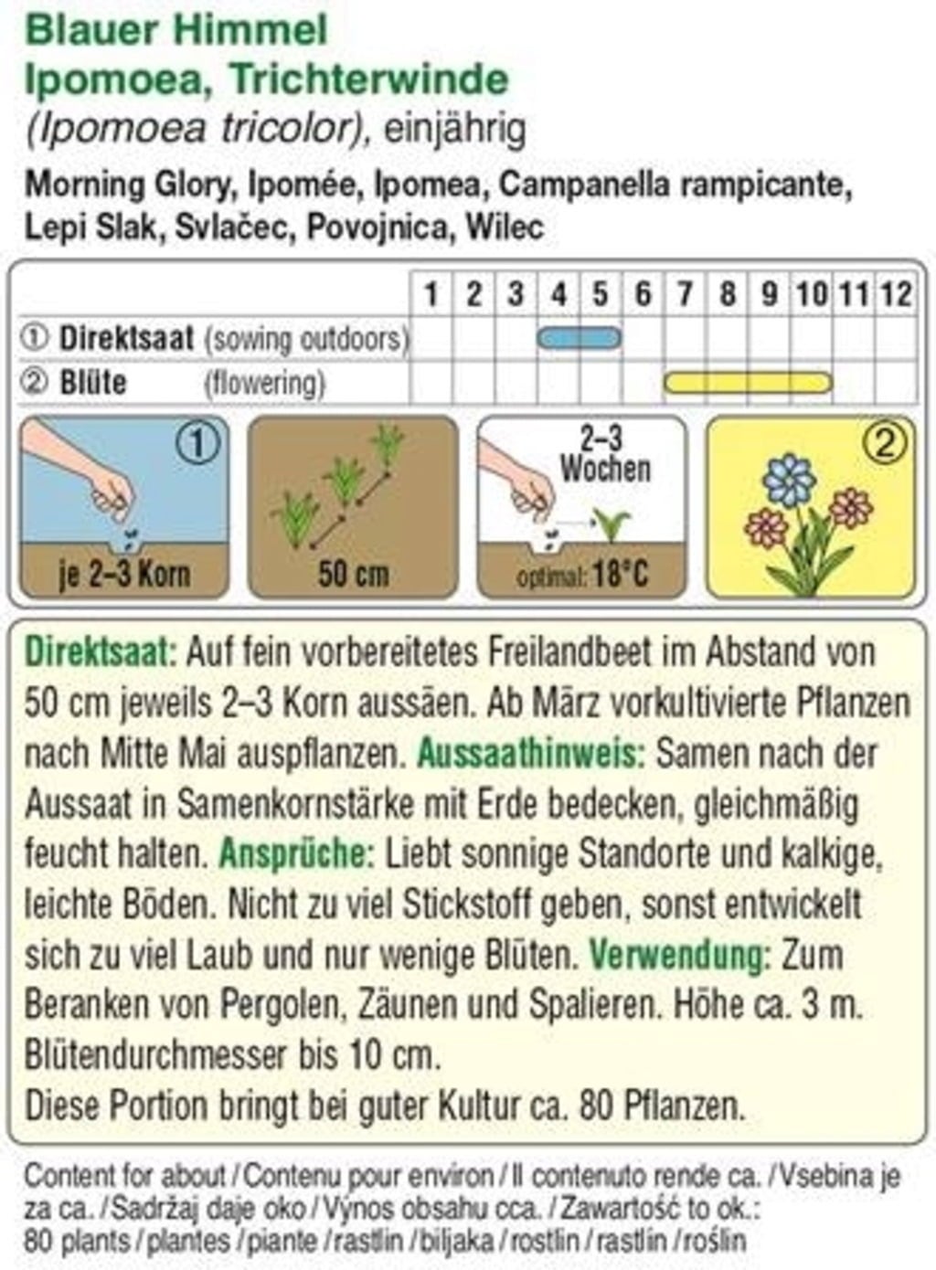 AUSTROSAAT Ipomée 