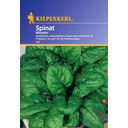 Kiepenkerl Spinach- 'Matador' - 1 Pkg