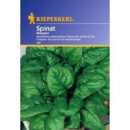 Kiepenkerl Spinach- 'Matador'