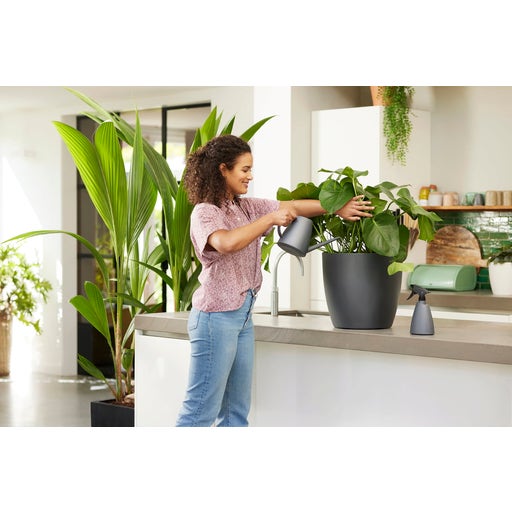 elho brussels Watering Can "1.8L" Bloomling International