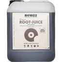 Biobizz Root-Juice - 5 L