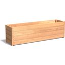 ADEZZ Carrez Hardwood Planter - Rectangular - 200 x 50 x 58 cm