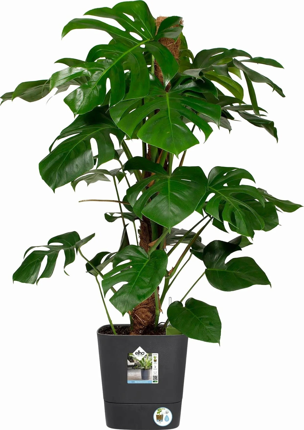 elho greensense aqua care 30cm, square - Charcoal grey