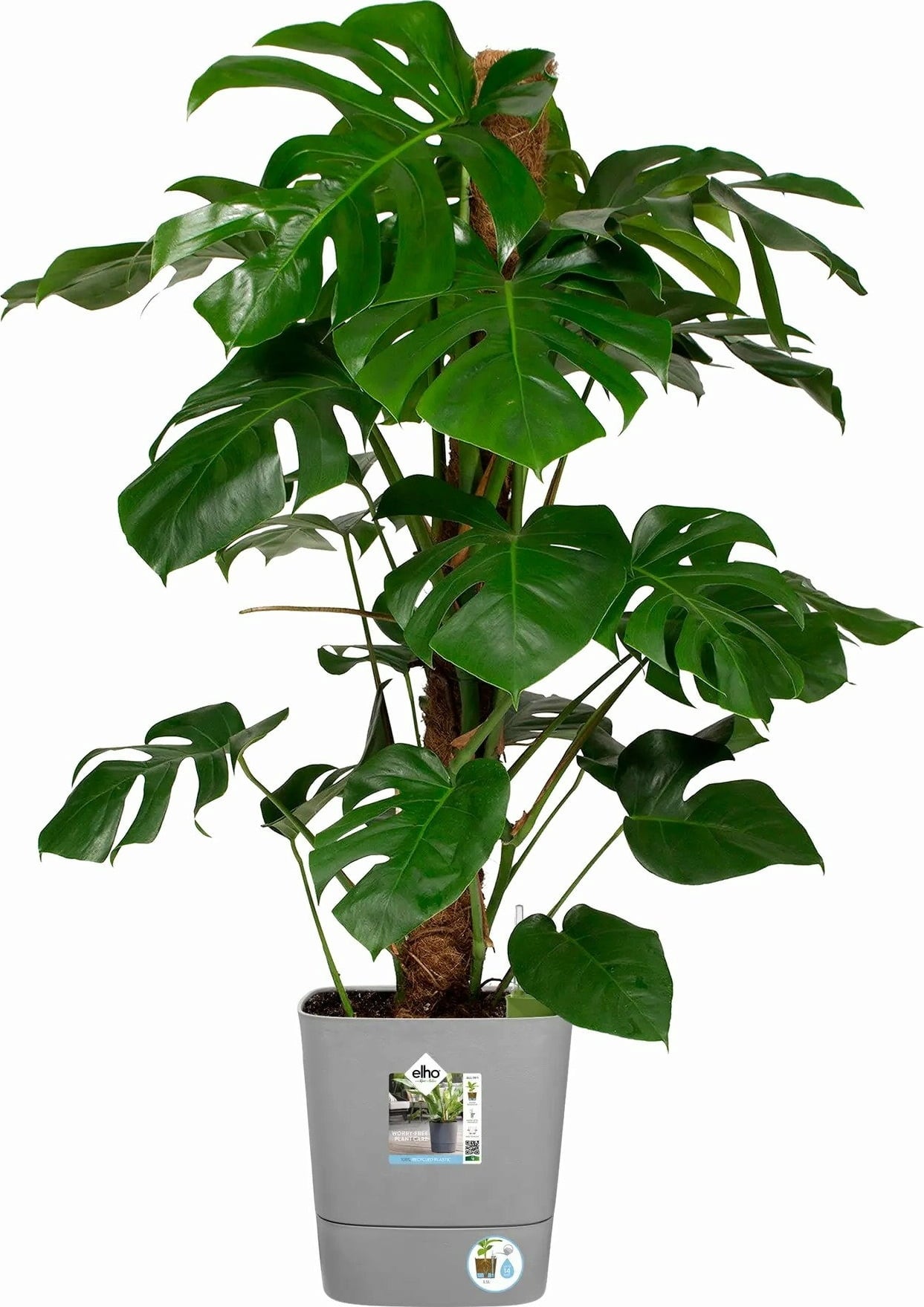 elho Pot GREENSENSE Aqua Care Carré - 30 cm - Ciment clair